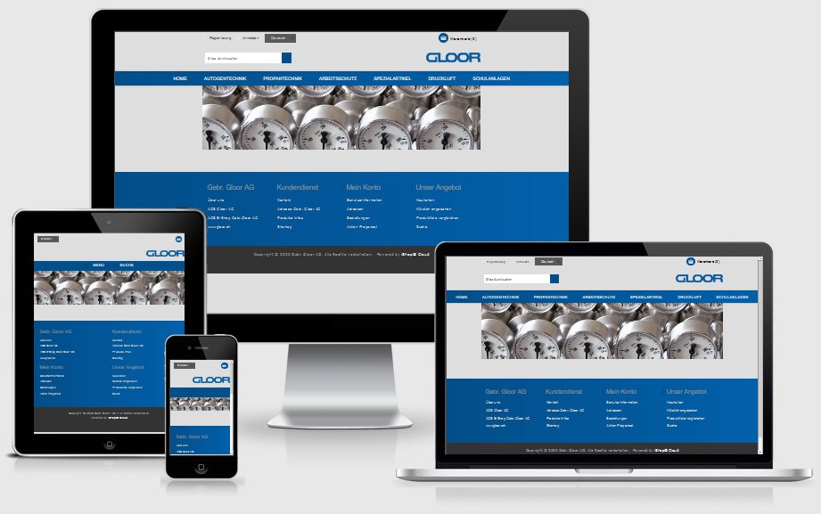 Screenshot Onlineshop Gebr. Gloor AG