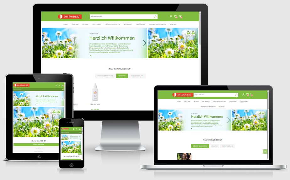 Screenshot Onlineshop der EM Schweiz AG